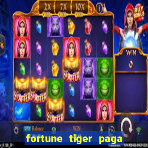 fortune tiger paga de madrugada